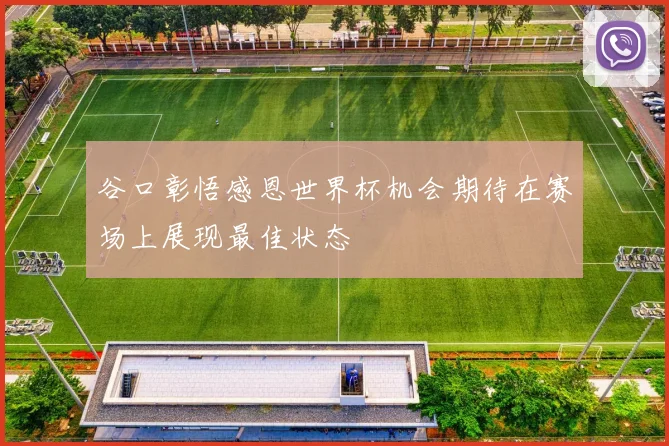 谷口彰悟感恩世界杯机会期待在赛场上展现最佳状态